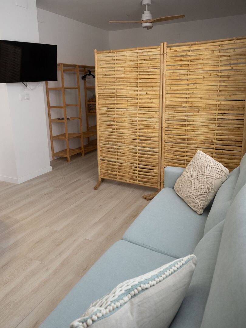 Sofá cama del salón