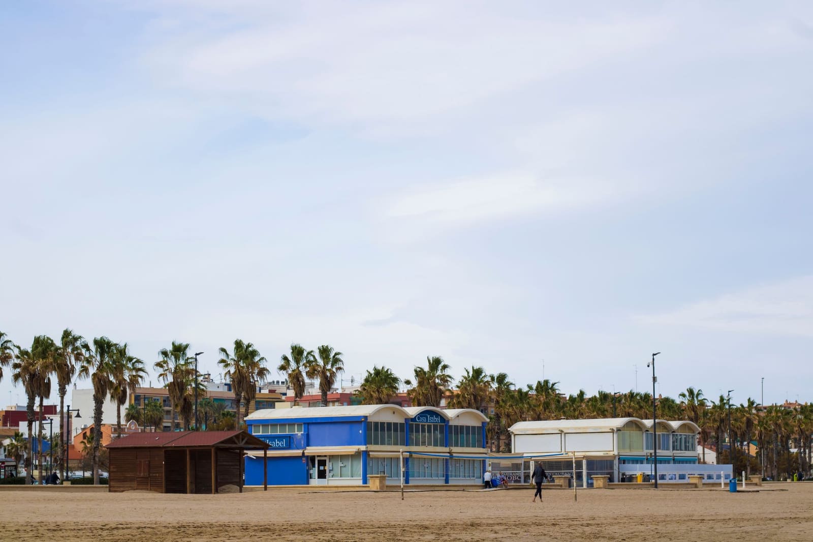 Palmeras y terrazas junto a la playa de Valencia